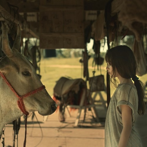 16º LoboFest – Festival Internacional de Filmes_DeBoa Brasilia