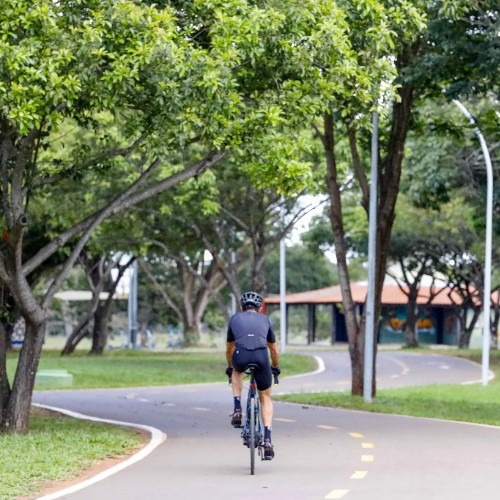 Cidade-parque Brasília capital mais arborizada do país_Foto Lúcio Bernardo Jr_DeBoa Brasília