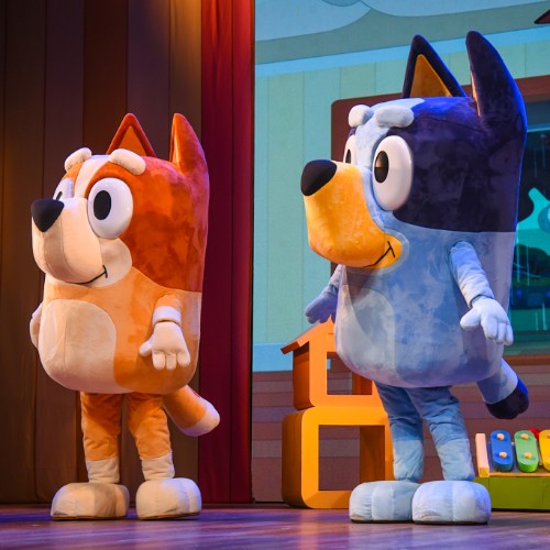 Bluey Ao Vivo – Diversão em Família_DeBoa Brasilia