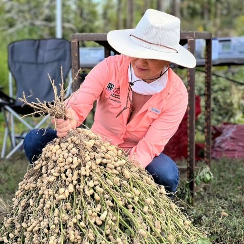 Leis de Biodiversidade Estão Bloqueando a Ciência Necessária para Proteger a Natureza e Alimentar o Mundo_DeBoa Brasília