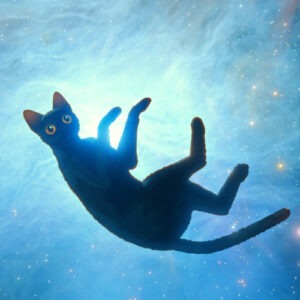 Mostra de cinema infanto-juvenil no CCBB Brasília_DeBoa Brasilia