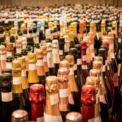 Vinhos do Distrito Federal são premiados na Grande Prova Vinhos do Brasil 2026_DeBoa Brasília