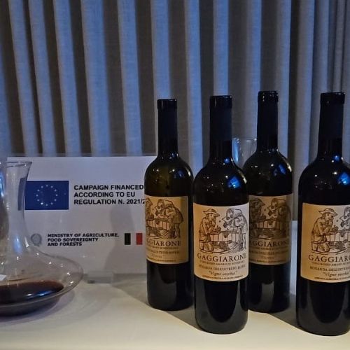 Due Vinhos eleva patamar do vinho italiano no Brasil com o Alziati Annibale_DeBoa Brasília