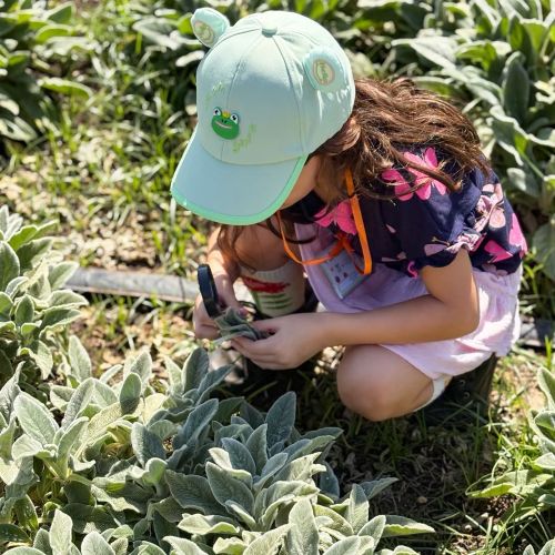Fazenda Malunga conecta crianças com a vivência da produção de alimentos_DeBoa Brasília